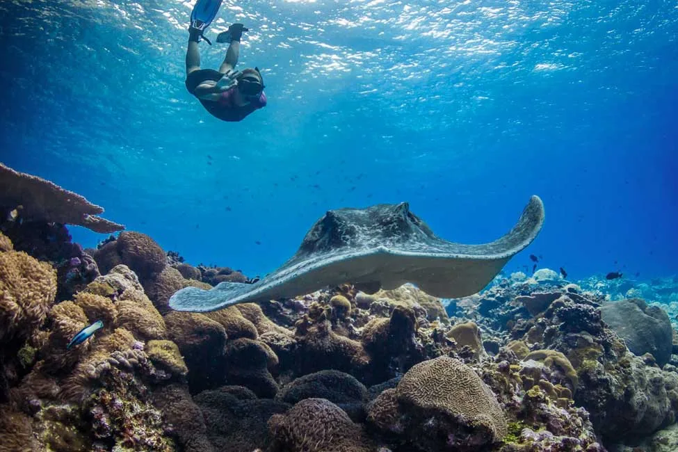Giftun Island tour from hurghada