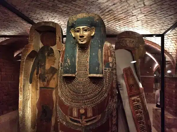 Pharaoh Adventure Cairo &Aswan Luxor Cruise. - Image 2
