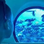 Sindbad submarine sharm el sheikh tours