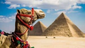 All inclusive Egypt tour packages from Toronto