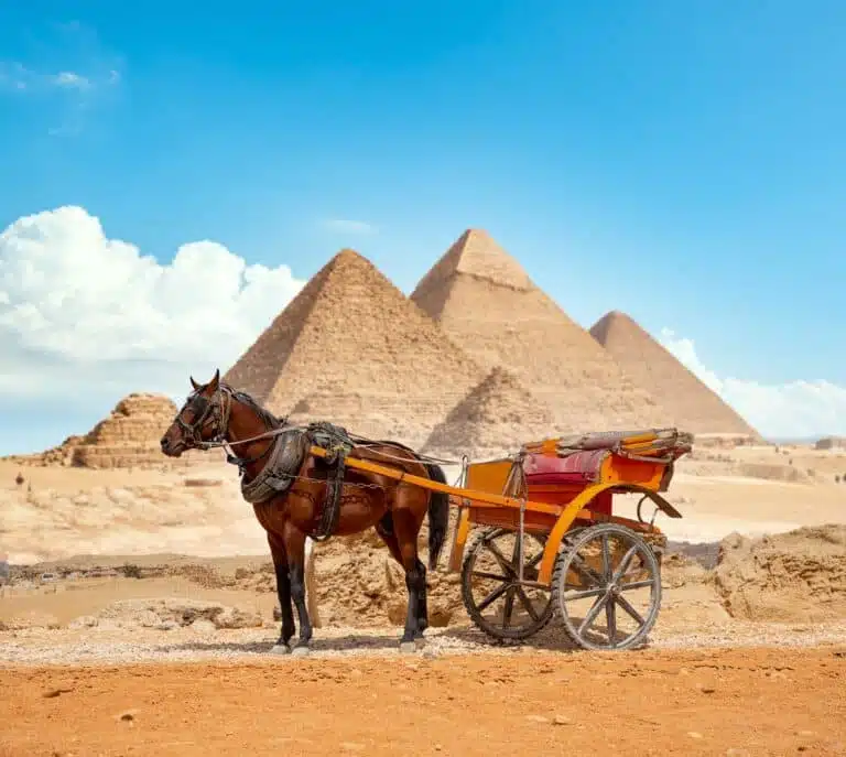 Cairo & Alexandria by Air 2days