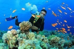 Marsa Alam snorkeling and diving tours