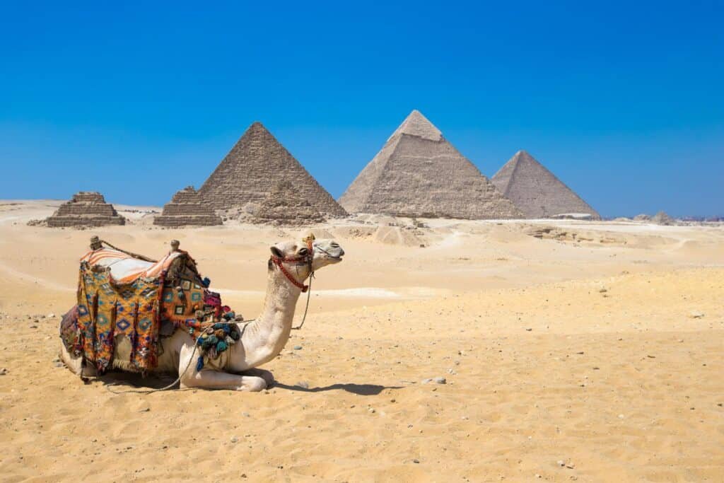Tour to Pyramids of Giza the Egyptian Museum Khan el-khalili