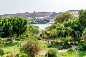Aswan Botanical Garden