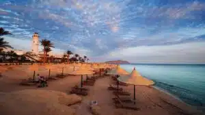 Best places to watch wildlife in Sharm El Sheikh