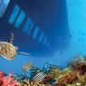 Sindbad submarine sharm el sheikh tours