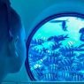 Sindbad submarine sharm el sheikh tours
